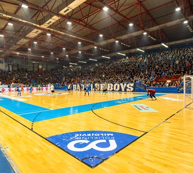 Rekonstrukcija Doma sportova